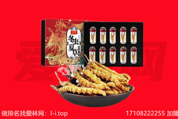 黔西南州册亨回收虫草.jpg